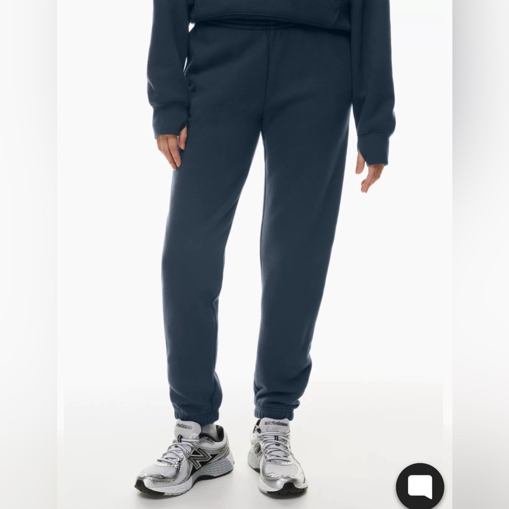 Aritzia Cozy Fleece Perfect Sweatpants